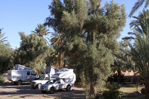 Camping Kasbah Palmeraie in Agdz