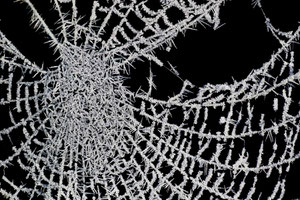 Spinnennetz. Gottfried Walter