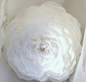 Rose géante en papier crépon très légère, avec la bonne élasticité pour modeler une forme souhaité, décoration mariage création atelier de fleurs en papier à Paris Maria Salvador