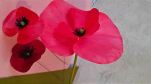 Coquelicot papier teinté à l'encre acrylique, papier parchemin