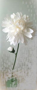 fleur géante de D 60cm en papier crépon variété camomille