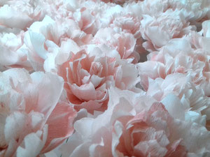 Roses en papier crépon teintées couleur vieux-rose  décoration mariage création atelier de fleurs en papier 