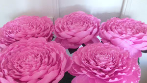 Fleurs géantes en papier cépon avec tige et socle décoration événementiel création atelier Maria'S
