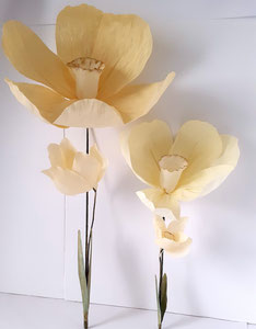 fleurs jonquilles en papier géante 
