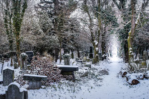 Winter im Friedhof