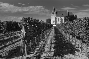 Kirche im Weinngarten