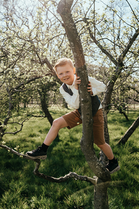jongen klimt in fruitboom die in bloesem staat-lentefeest-communie-groeifeest-spontane kinderfotografie-Fotografils-by Ilse Wagemakers-fotograaf-Essen