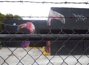 Miami (Florida)