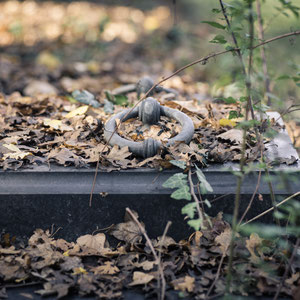 rheiligen am Zentralfriedhof    © Florian Schubert 2013