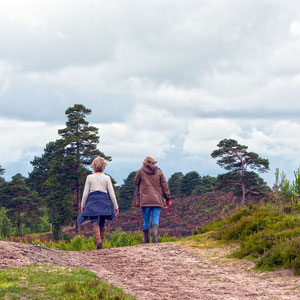 PowerVrouwen 18 december: Wandeling door de duinen bij Rockanje