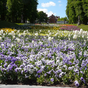 Sichtachse durch den Schloßpark 