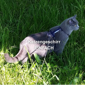 Katzengeschirr EINFACH