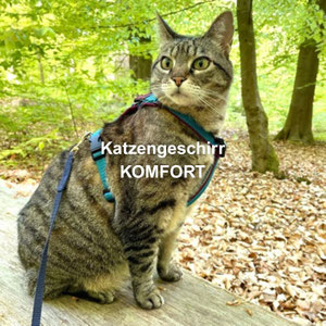 Katzengeschirr KOMFORT