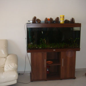 Aquarium