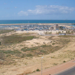 Rue haegoz