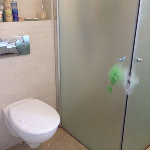 Salle de bain douche