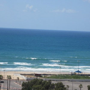 Magnifique vue mer