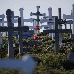 Alter Friedhof hinter dem "Alten Heliport"