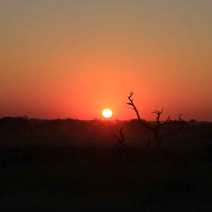 Sonnenuntergang in Namutoni