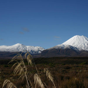 Mount Ngauruhoe und Mount Tongariro