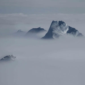 Tolle Eindrücke auch bei Nebel