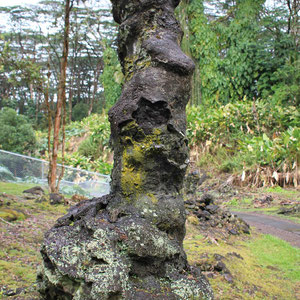 Erstarrte Baumreste im Lava Tree State Park