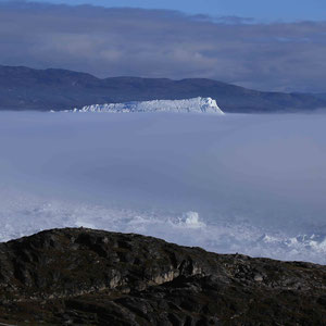 Kangia Fjord im Nebel