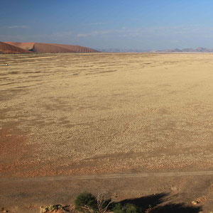 Blick von Düne 45