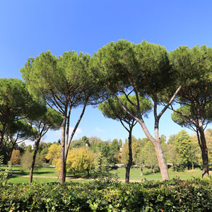 Park der Villa Borghese