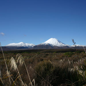 Ngauruhoe und Tongariro Vulkan, Tongariro NP, Neuseeland