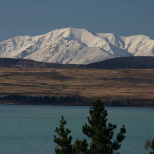 Südalpen hinter Lake Pukaki