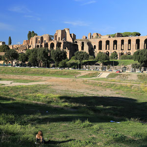 Circus Maximus