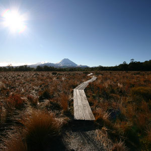 Ngauruhoe Vulkan, Tongariro NP, Neuseeland, Nordinsel