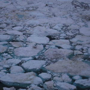 Eisstücke am Ufer