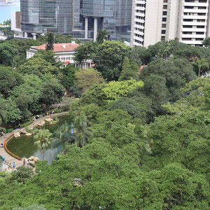 Blick vom Aussichtsturm auf Hong Kong Park