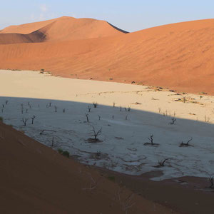 Dead Vlei