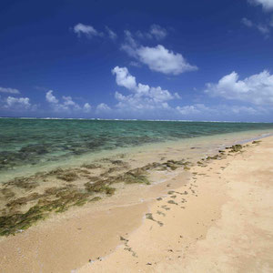 Strand am North Shore