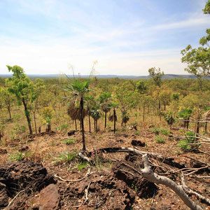 Ausblickspunkt in die Ebenen des Kakadu Nationalparks