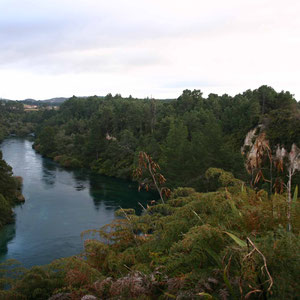 Waikato River