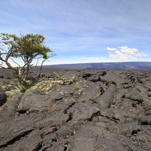 Lavafeld auf der Saddle Road