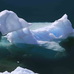 Eisberge am Kangia Fjord