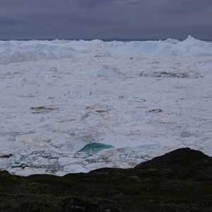 Eisbergstau am Kangia Fjord