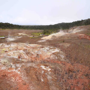 Geothermalfeld im Hawaii Volcanoes Nationalpark