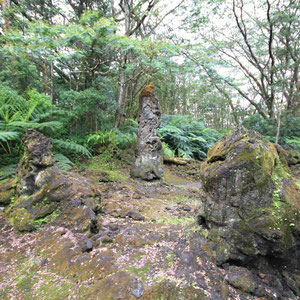 Lava Tree State Park