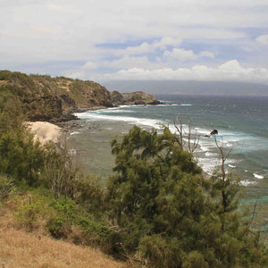 Wilde Nordküste