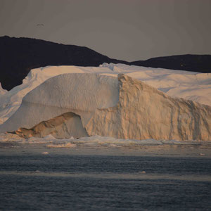 Riesige Eisberge kommen aus dem Kangia Fjord