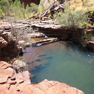 Kleiner Wasserfall in der Weano Gorge