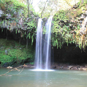 Twin Falls