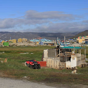 Sledgedog Area