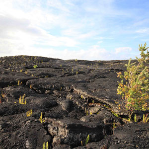 Ende der Chain of Craters Road von Osten her